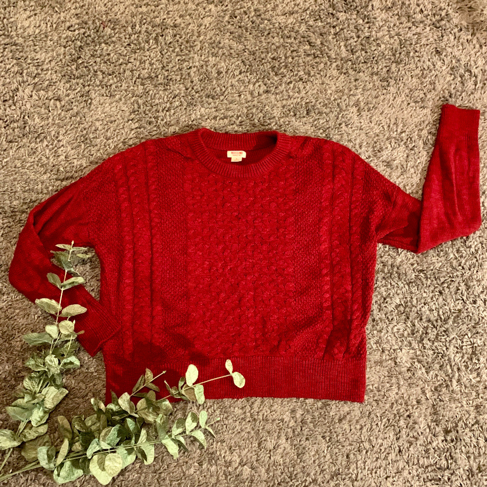 Mossimo | Chunky Maroon Sweater